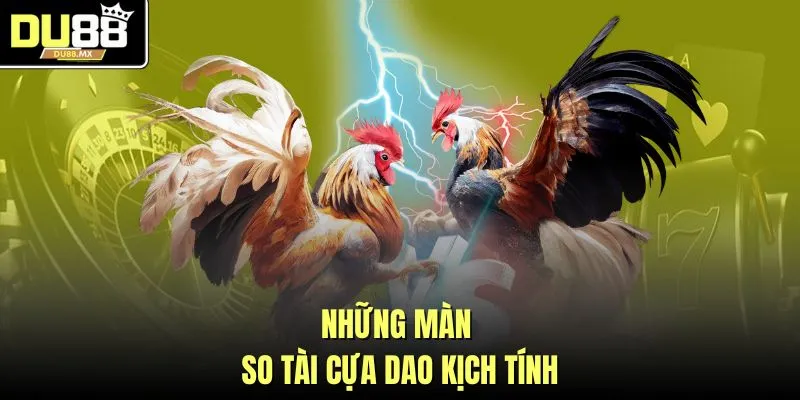 Những màn so tài cựa dao kịch tính